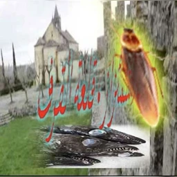 co0l