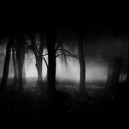 ambienttt