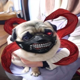 ALCG
