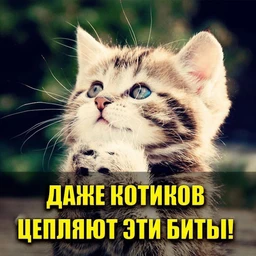 kymbIc_u_pbI6aJIka