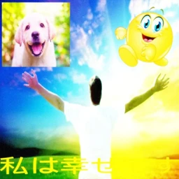 feel it
