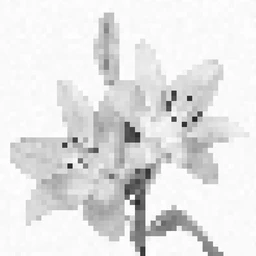 !SeParaT1oN"