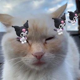 Sin0myflex