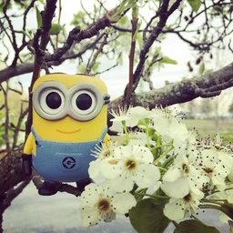 EVALAR