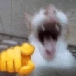 tw1nki