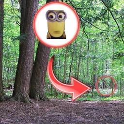 SNEG