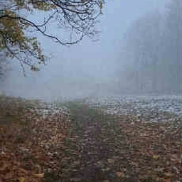 снегом