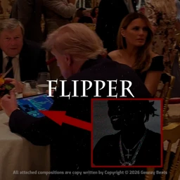 Flipper