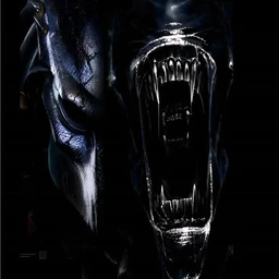 predator_009