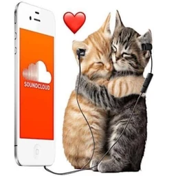 money talks