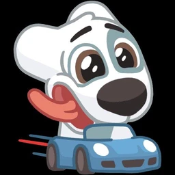 musora