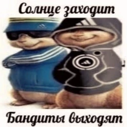 бандиты