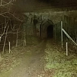 Дарк триад