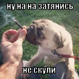 IJWTGH