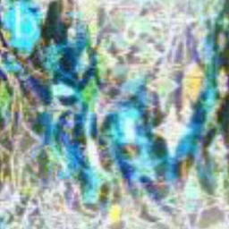 in my trance