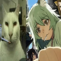 citrus