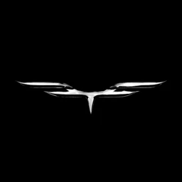 endlessfly