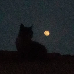 moon