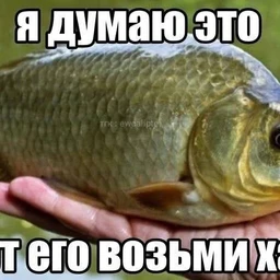dont open this