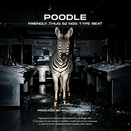 POODLE