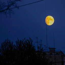 LO-FI Lunar