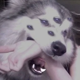 Lymfy