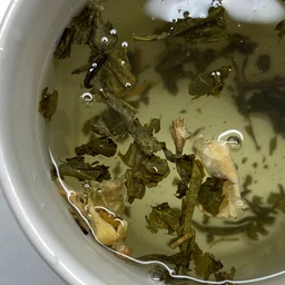 GREEN TEA