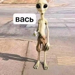 вась