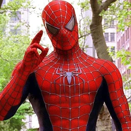 Spidywebmen