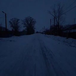 Night Dream