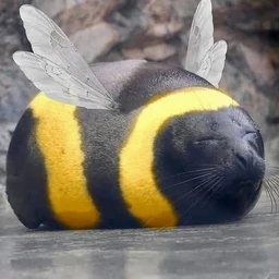 VARENIKI