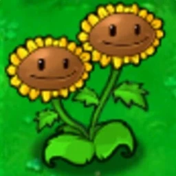 plants