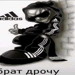 sosni i trava