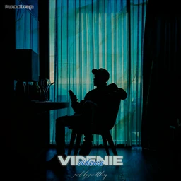 Videnie