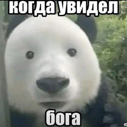 васек