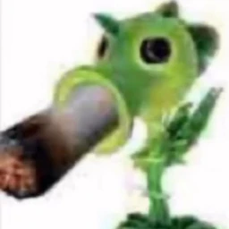 KRIVOI