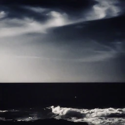 shdw