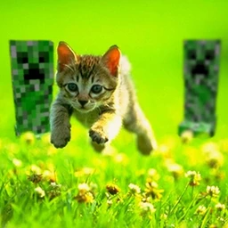 minecraft letsplay music
