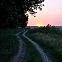 Винил