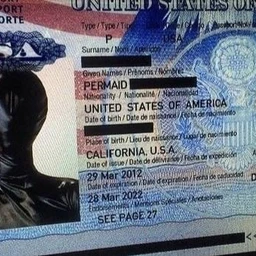 fourL2hunting