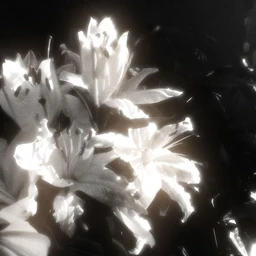Tears | ambient