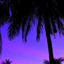 #location [rxckhard nika00]