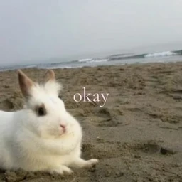 мило