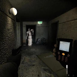 asylum