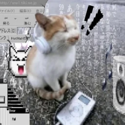 cats