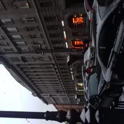 цветы