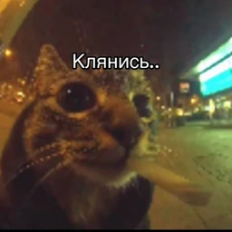 ladnoebat