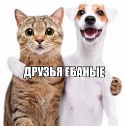 тыры пыры