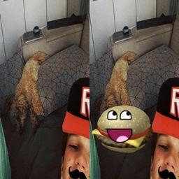broomy