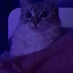 ugroza obnarujena